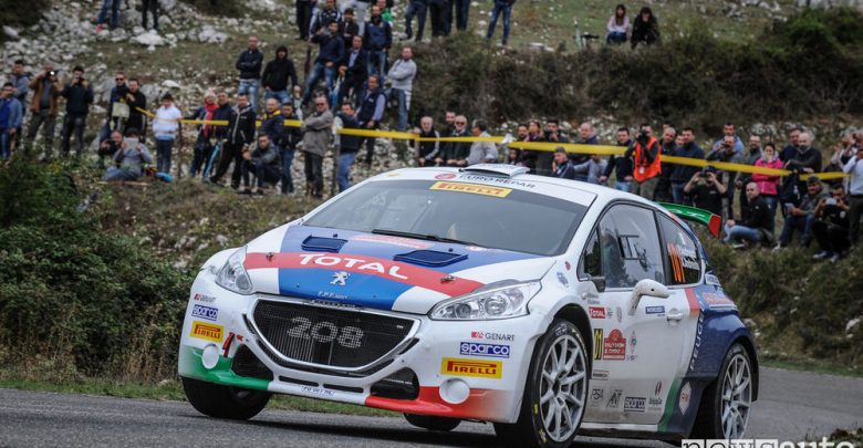 Peugeot 208 Rally Due Valli Andreucci
