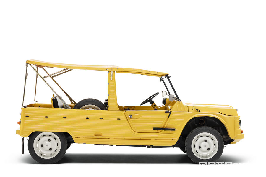 Art Car Citroen Mehari