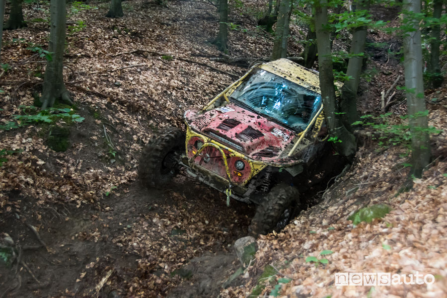 Transsylvania Trophy 2018