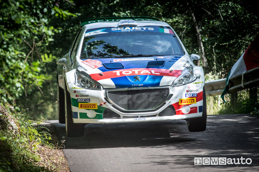 Peugeot_208-T16 2018, Paolo Andreucci