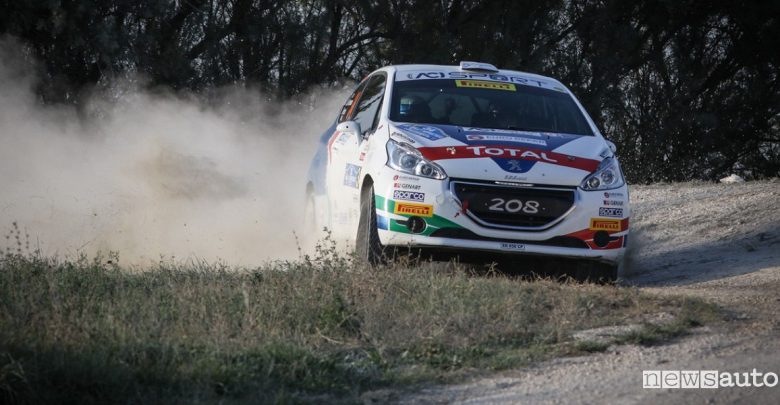 Peugeot Competition Raceday Terra