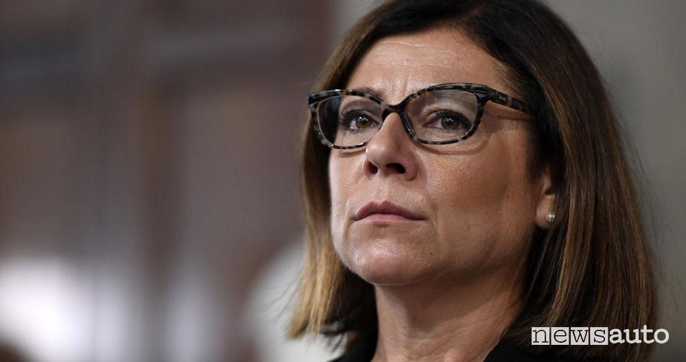 Paola De Micheli, Ministra delle Infrastrutture e dei Trasporti