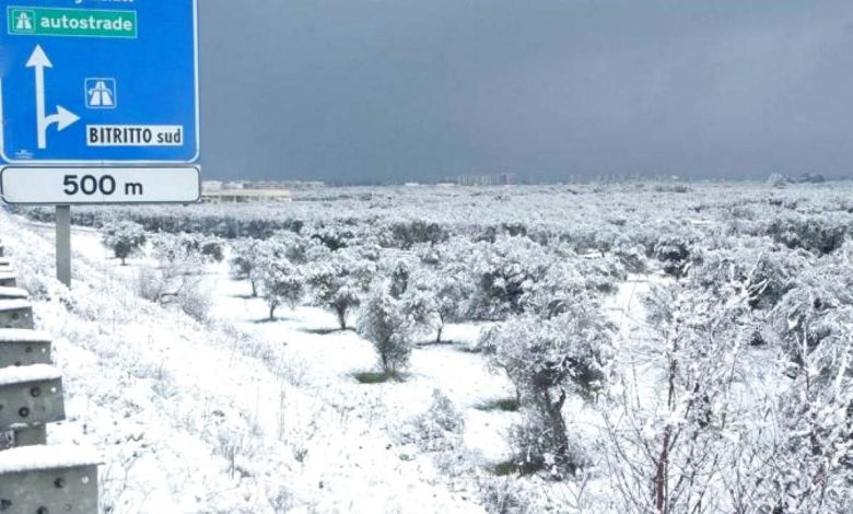Puglia neve sulle strade in zona Bari e Bitritto dove bisogna rispettare l'obbligo delle catene e dei pneumatici invernali nelle date previste