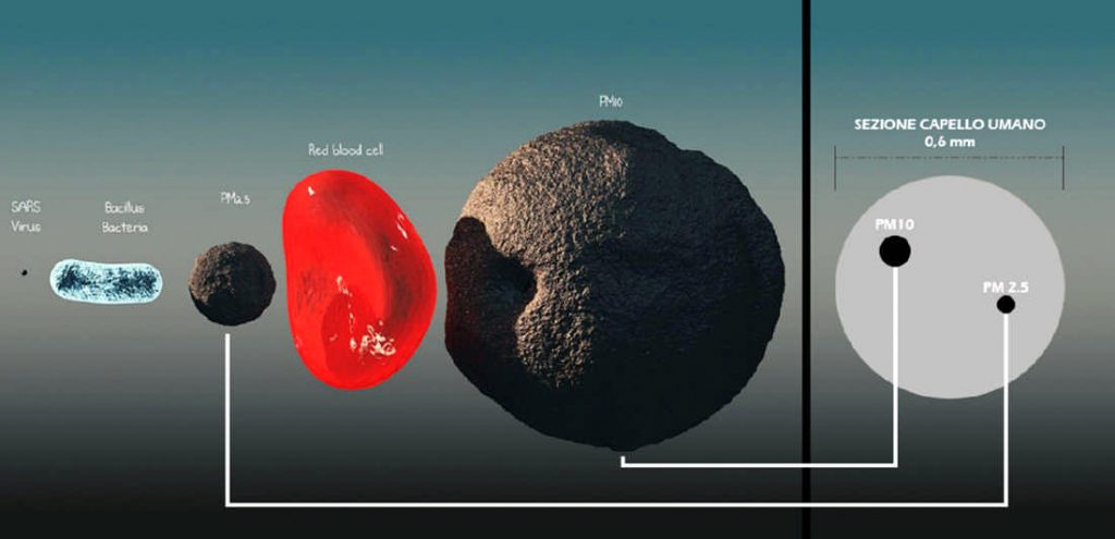 Dimensioni a confronto tra virus (primo a sinistra), batterio, PM2.5, cellula del sangue e PM10