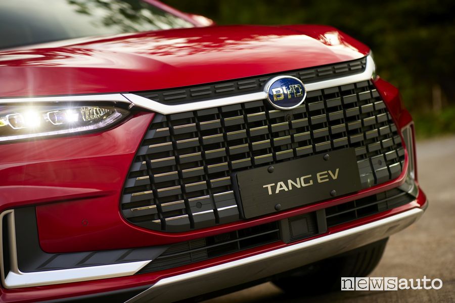Griglia paraurti anteriore BYD Tang