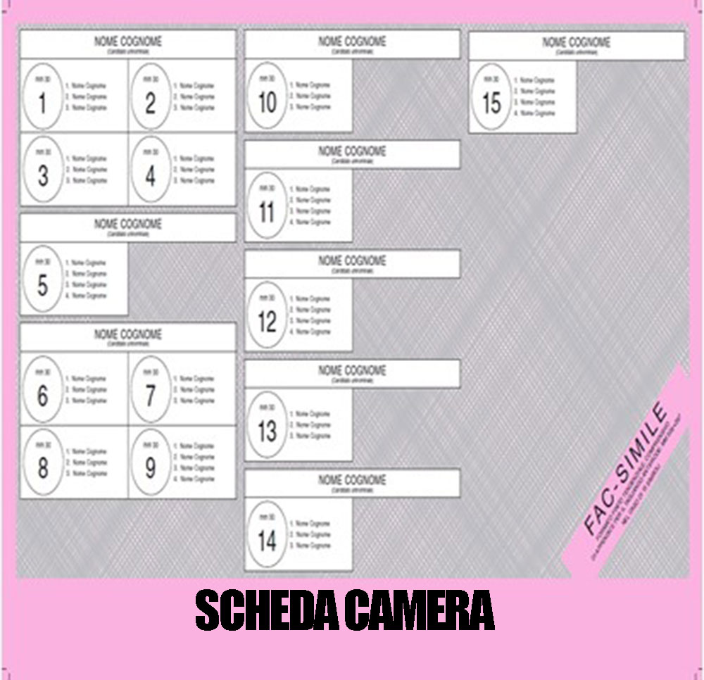 Scheda elettorale 2022 Camera