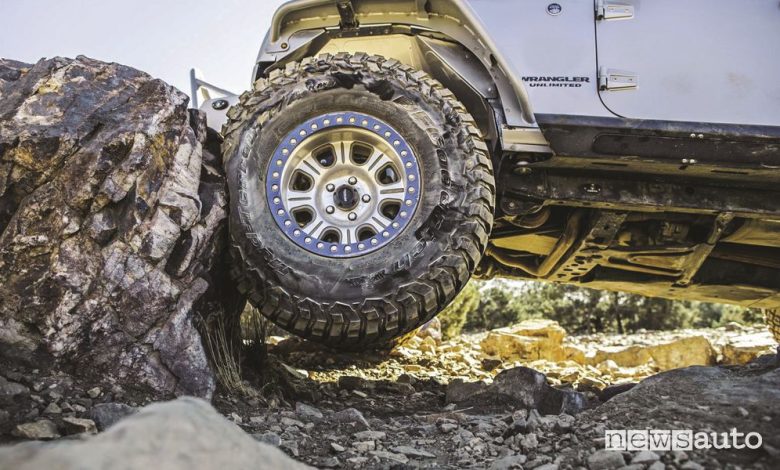 BFGoodrich storia, traguardi e vittorie