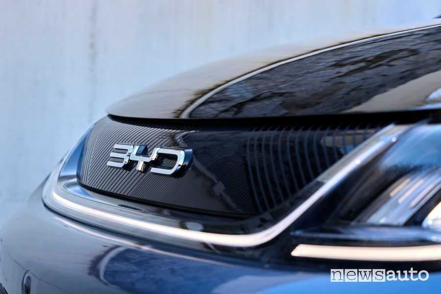 BYD Dolphin griglia anteriore