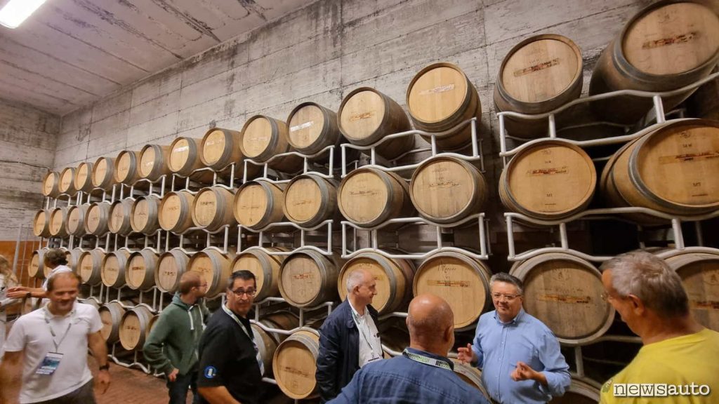 Le barrique nella cantina dell'Azienda Agricola Castel de Paolis utilizzate per il vino rosso.