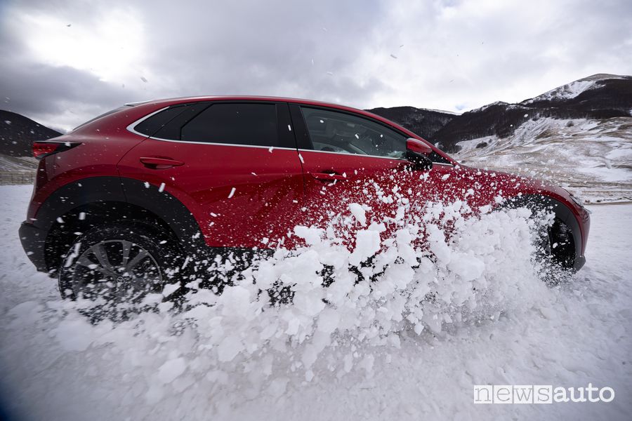 Neve, previsioni gennaio 2025