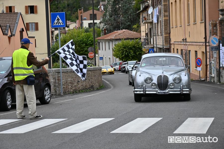 Jaguar in arrivo a Montefranco