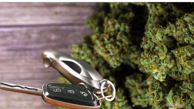 Effetti della marijuana alla guida