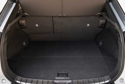 Lexus RZ 550e F Sport bagagliaio