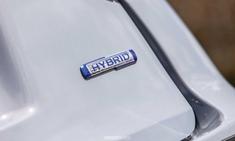 Suzuki Vitara logo Hybrid portellone posteriore