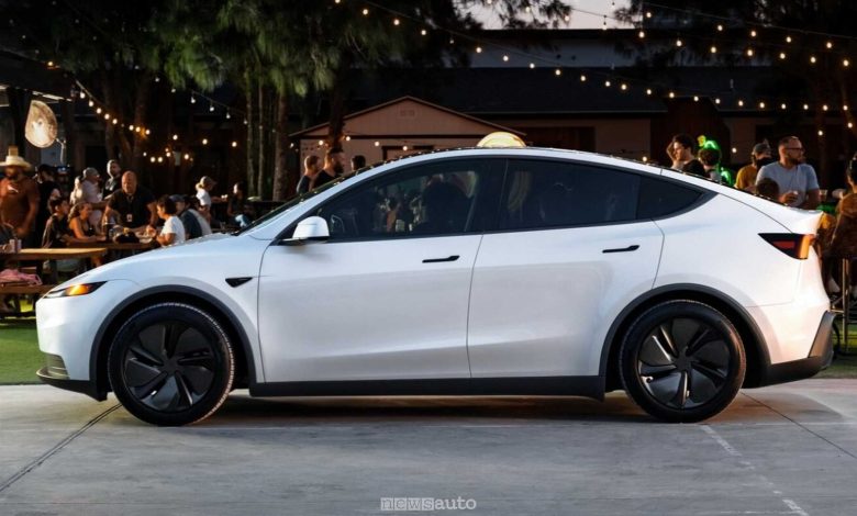 Tesla Model Y Standard laterale
