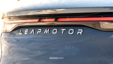Logo Leapmotor