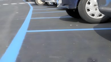Parcheggi strisce blu a Roma