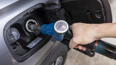 Carburanti rinnovabili