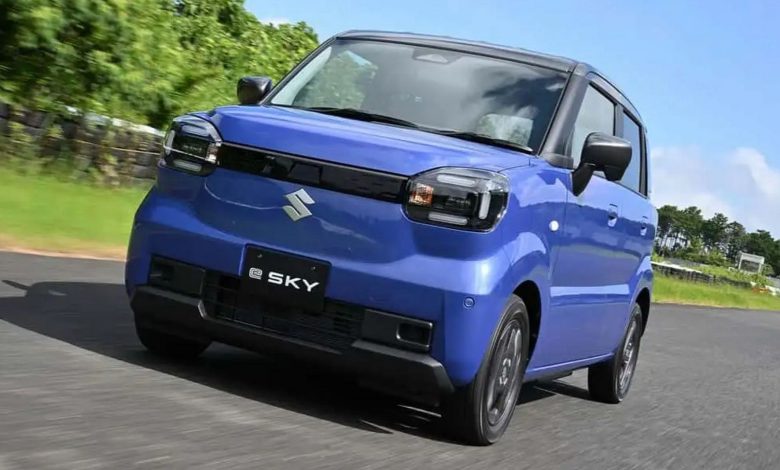 Suzuki e Sky su strada