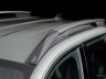 Renault Niagara barre sul tetto