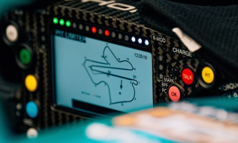 Partenza gara F1 Sepang bug software